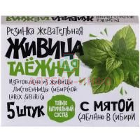 Жевательная резинка ЖИВИЦА ТАЕЖНАЯ мята №5 Зеленый доктор