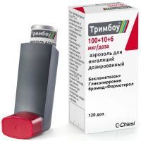 Тримбоу бал.(аэр. д/ингал. доз.) 100+10+6 мкг/доза 120доз №1 + распылитель и счетчик доз Chiesi Pharmaceuticals S.p.A./Италия